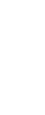 Next Arrow