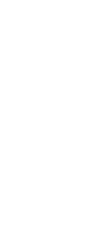 Next Arrow