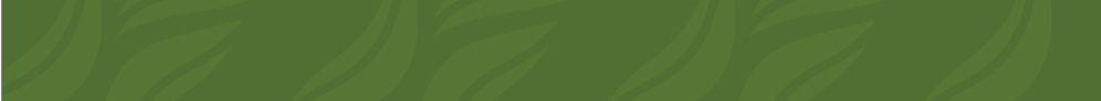 Green pattern