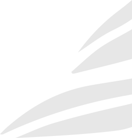 Vector